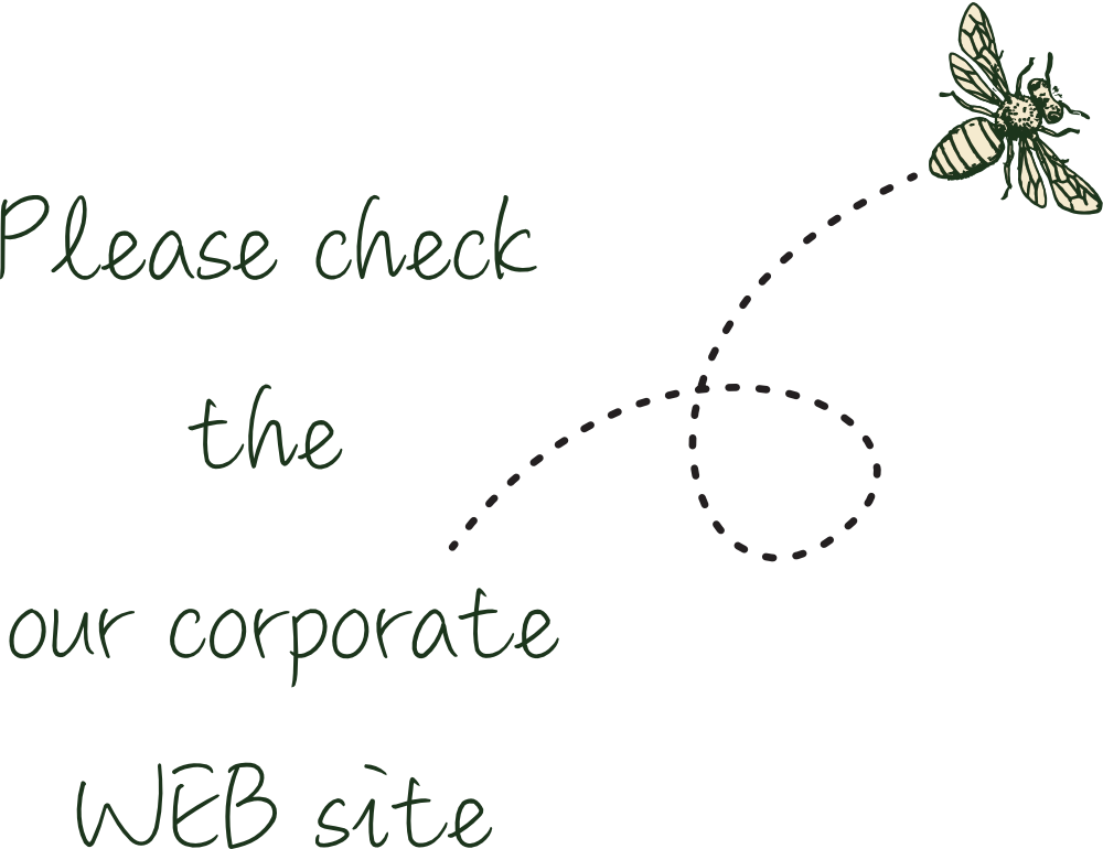 check web site