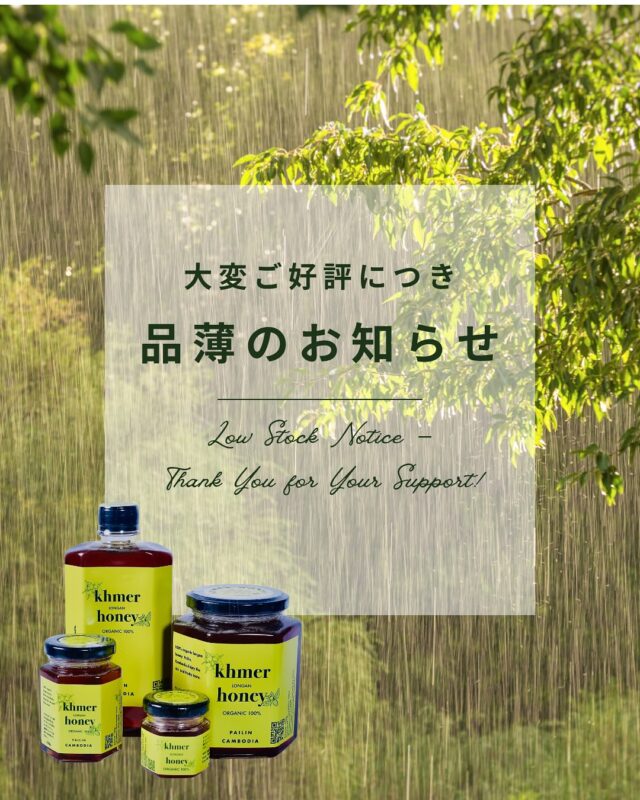 カンボジアのお土産におすすめ｜希少天然はちみつ｜パイリン産